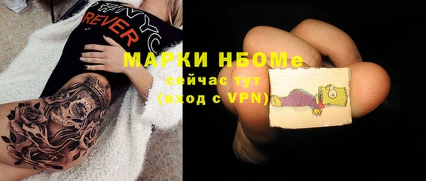 молекула духа Новозыбков