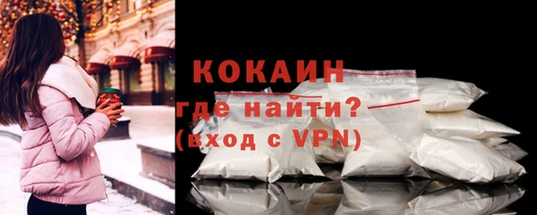 мдпв Няндома