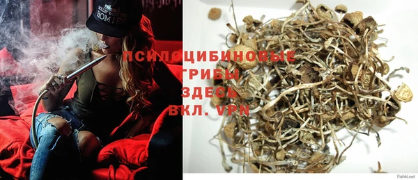 мдпв Няндома