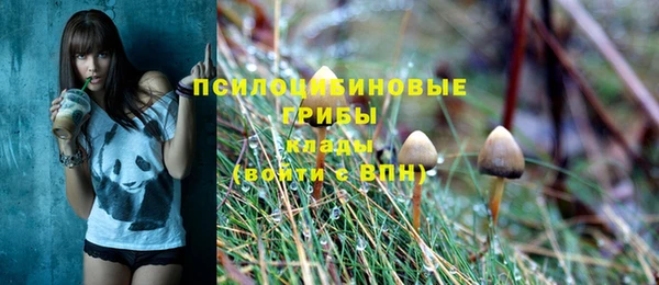 эйфоретик Нягань