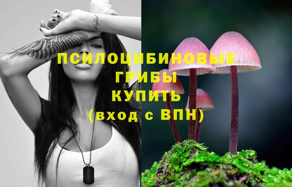 твердый Воткинск