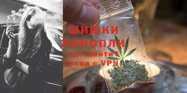 мдпв Няндома