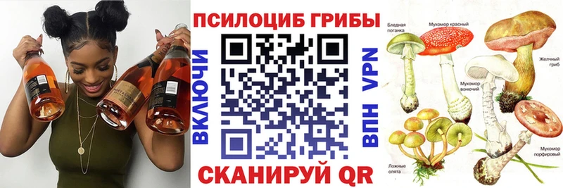 Галлюциногенные грибы Psilocybe  Лакинск 